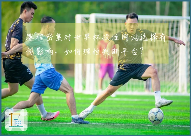 赛程密集对世界杯投注网站选择有何影响，如何理性判断平台？