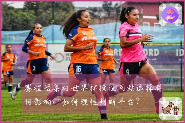 赛程密集对世界杯投注网站选择有何影响，如何理性判断平台？