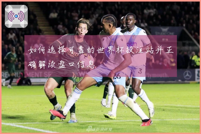 如何选择可靠的世界杯投注站并正确解读盘口信息