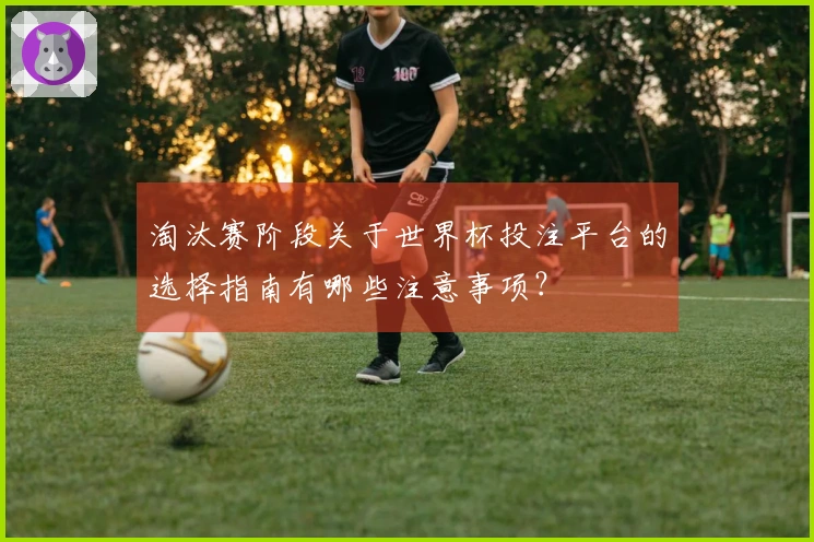 淘汰赛阶段关于世界杯投注平台的选择指南有哪些注意事项？