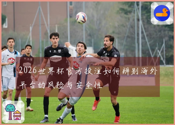 2026世界杯官方投注如何辨别海外平台的风险与安全性