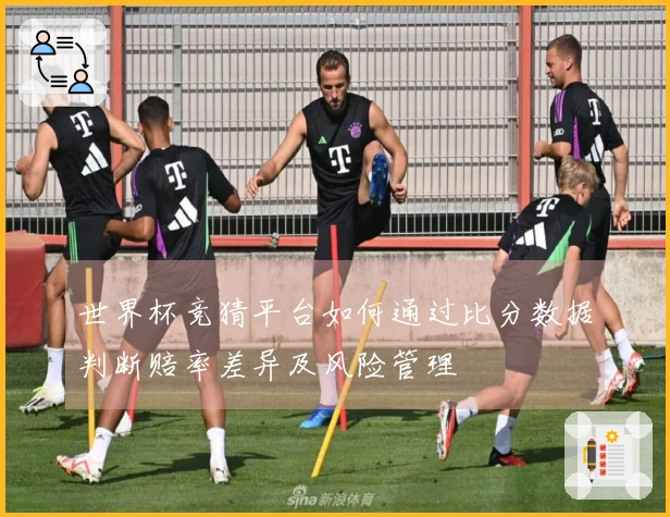 世界杯竞猜平台如何通过比分数据判断赔率差异及风险管理