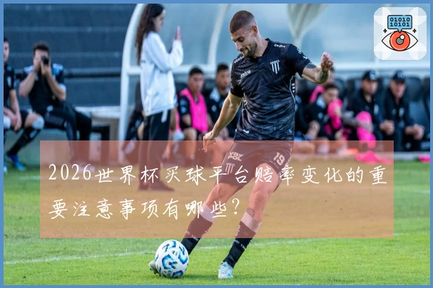 2026世界杯买球平台赔率变化的重要注意事项有哪些？