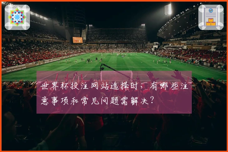 世界杯投注网站选择时，有哪些注意事项和常见问题需解决？
