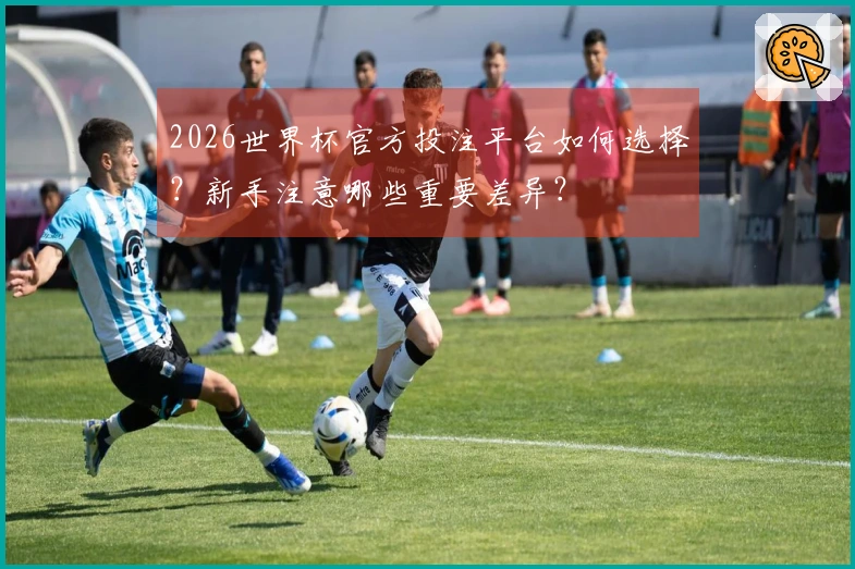 2026世界杯官方投注平台如何选择？新手注意哪些重要差异？